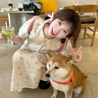 灵偶契约